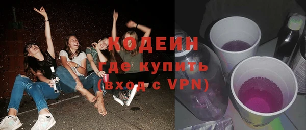 сатива Новодвинск
