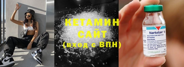 сатива Новодвинск