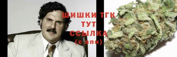 эйфоретик Новозыбков