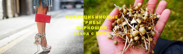 apvp Нягань
