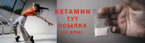 сатива Новодвинск
