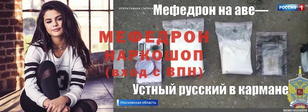 сатива Новодвинск