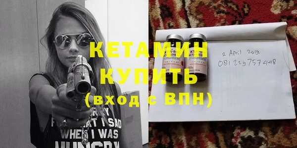 сатива Новодвинск