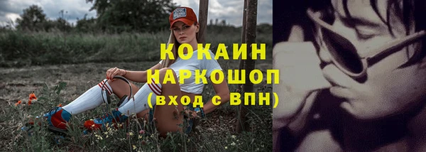 эйфоретик Новозыбков
