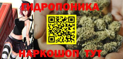 герыч Дубна