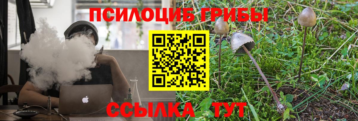 Псилоцибиновые грибы Psilocybine cubensis  Галлюциногенные грибы GOLDEN TEACHER  Вход с VPN  Павлово 