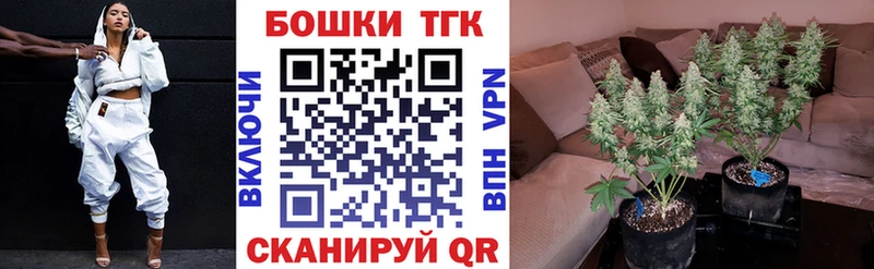 Каннабис тримм  купить закладку  Павлово 